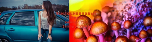 сатива Остров